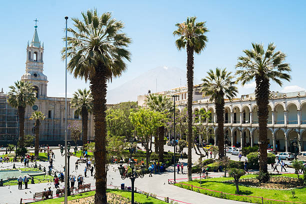 City Tour Peatonal + Santa Catalina