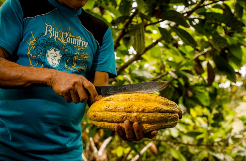 Circuito Ruta del Chocolate