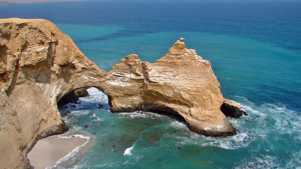 Reserva Nacional de Paracas