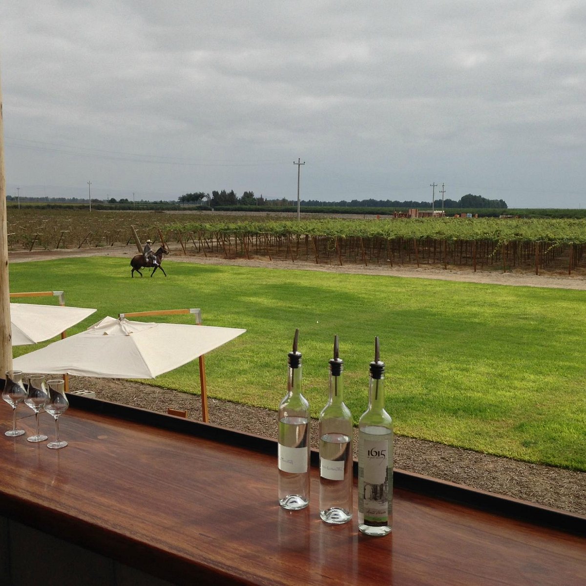 Visita Bodega 1615