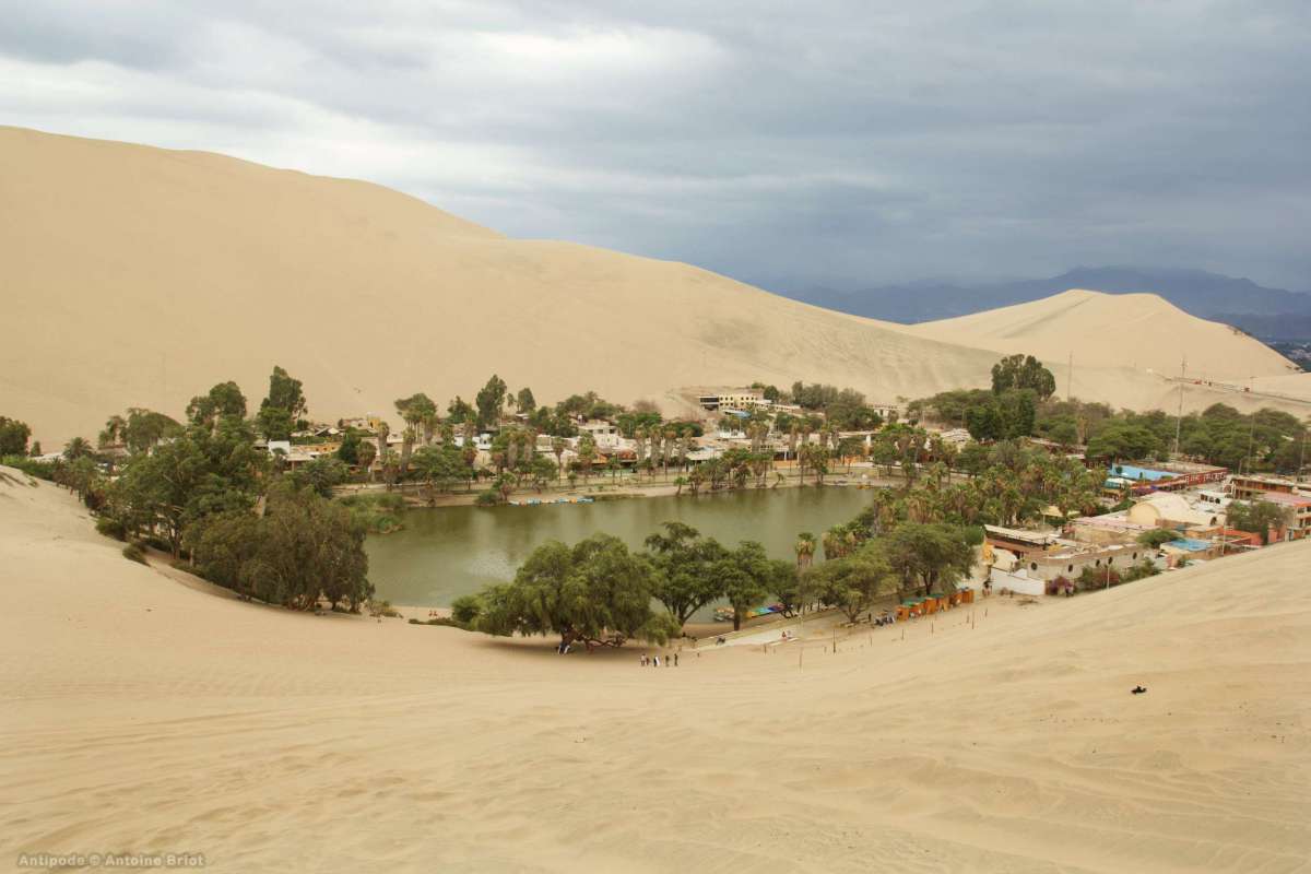 Ruta del Pisco Tradicional