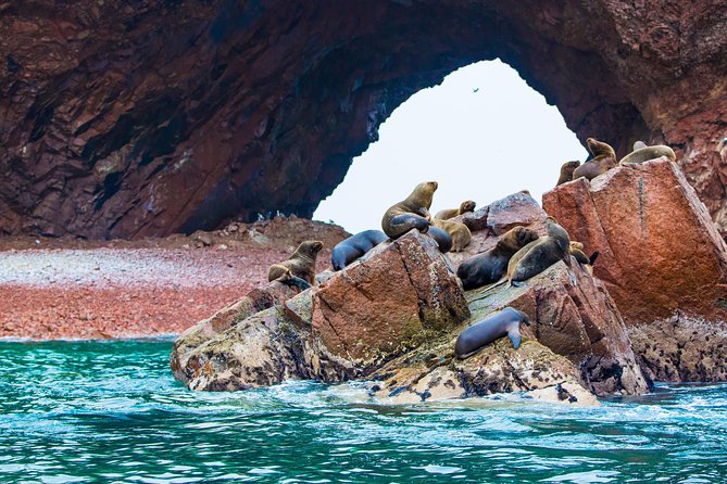Islas Ballestas por el muelle turístico