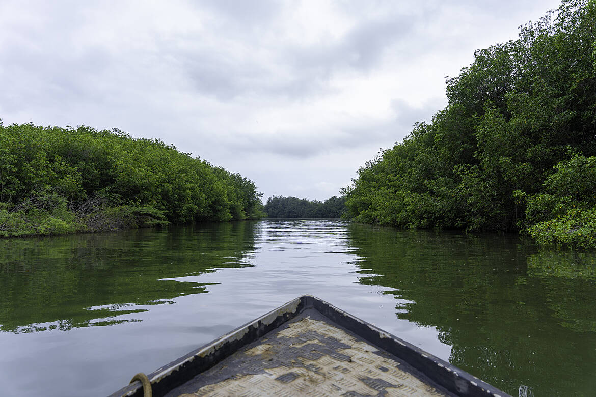 Manglares de Tumbes
