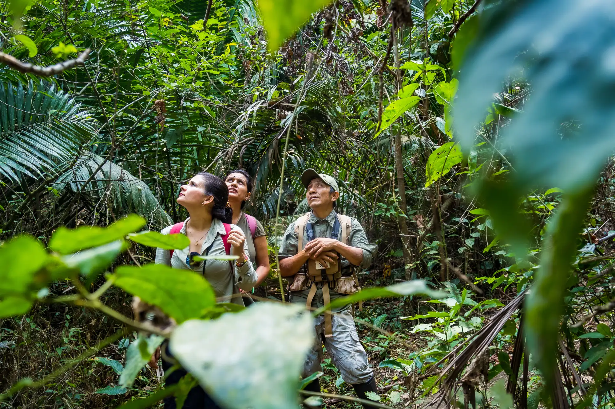 Tarapoto Tropical 4 Dias / 3 Noches