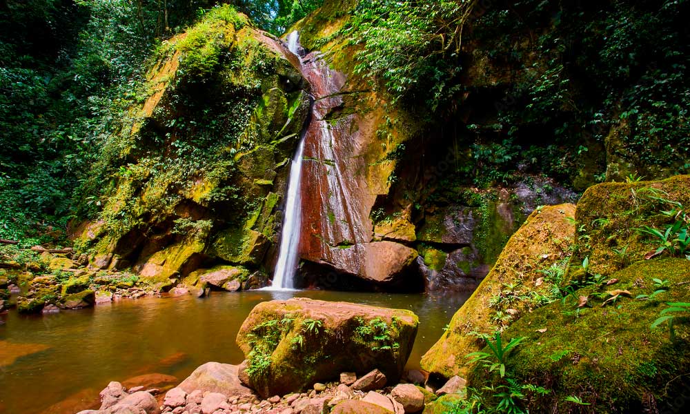 Cascada del Velo de la Novia y Tamushal