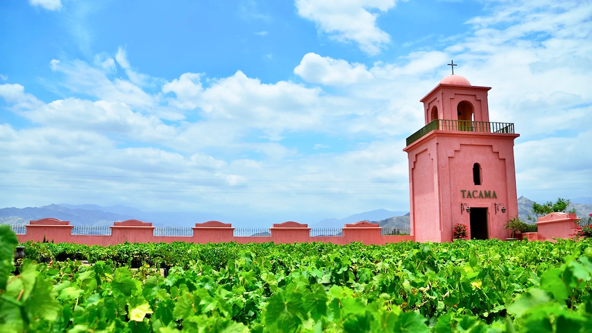 Ica + Paracas 4 Días / 3 Noches