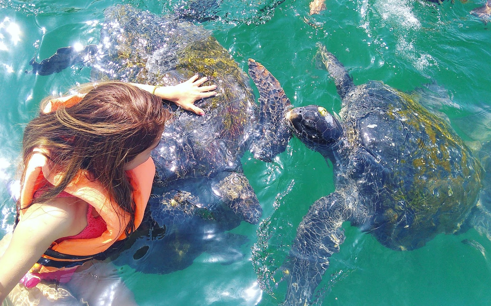 Ruta Playera + Nadando con Tortugas
