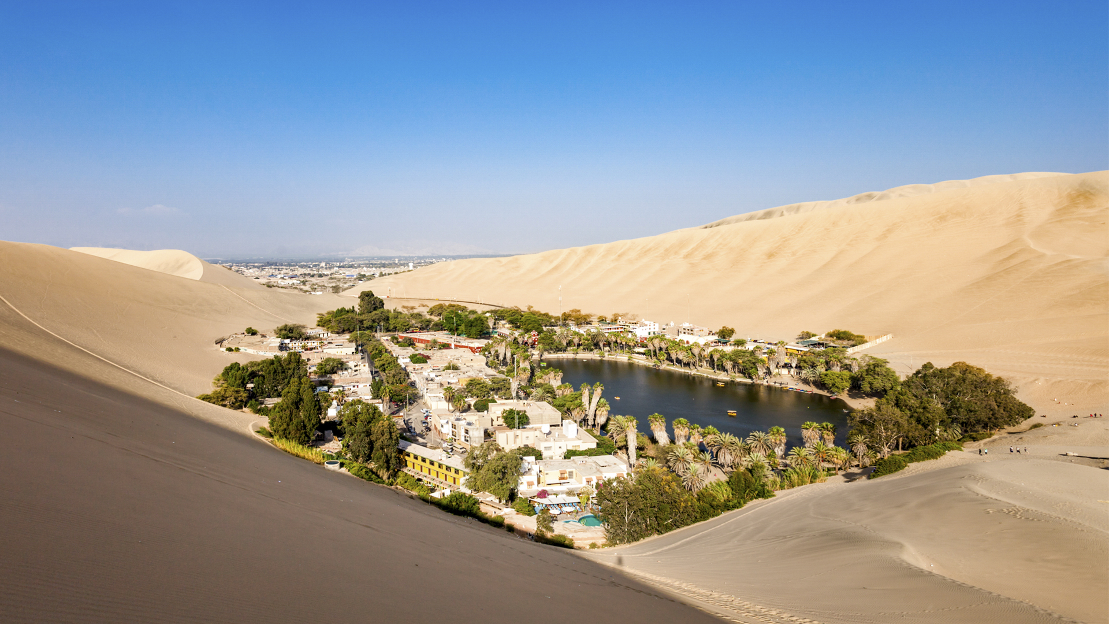 Pre book  - Early Return to Lima: Ballestas, Huacachina, and Vineyards