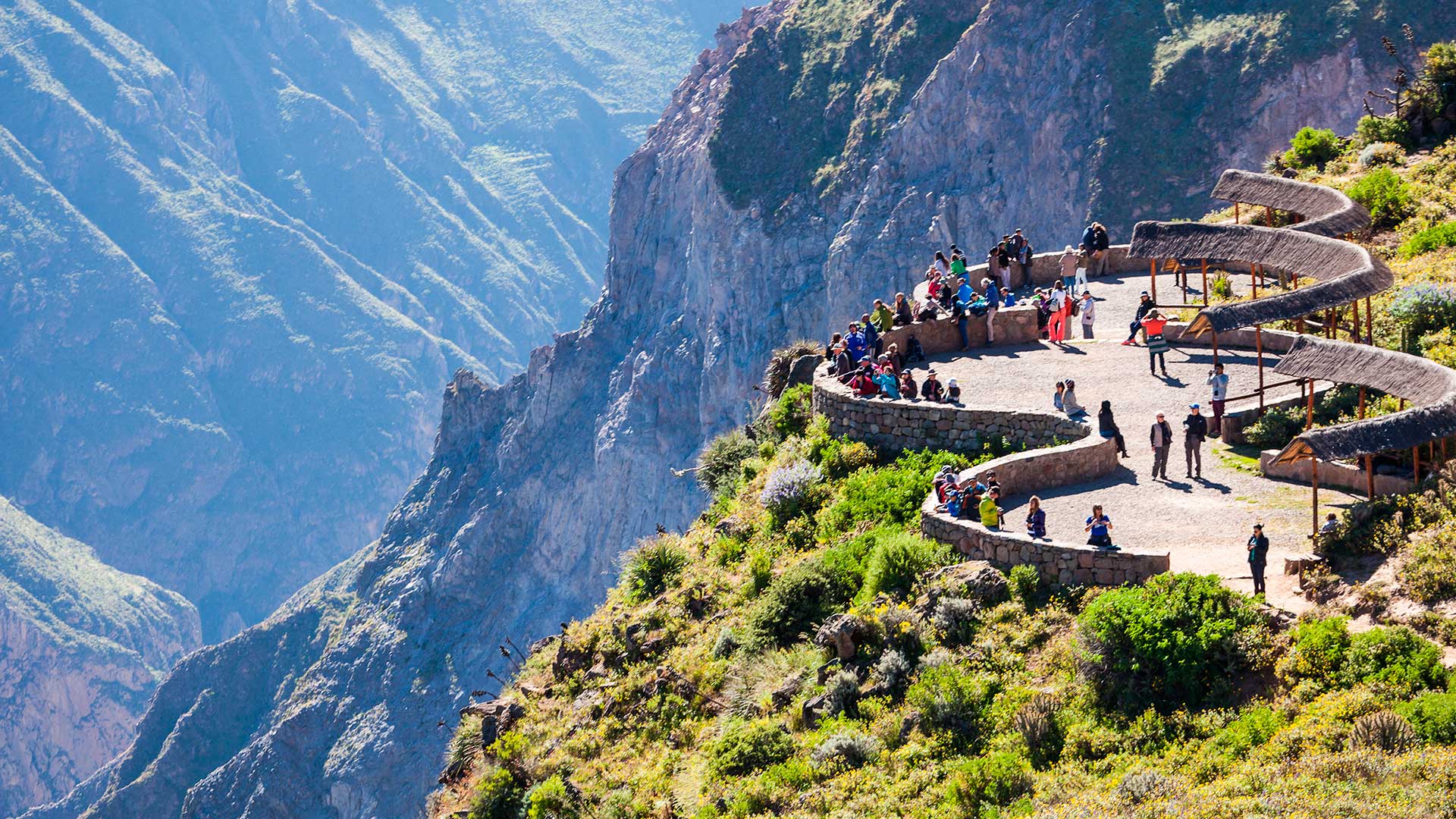 CAÑON DEL COLCA FULL DAY