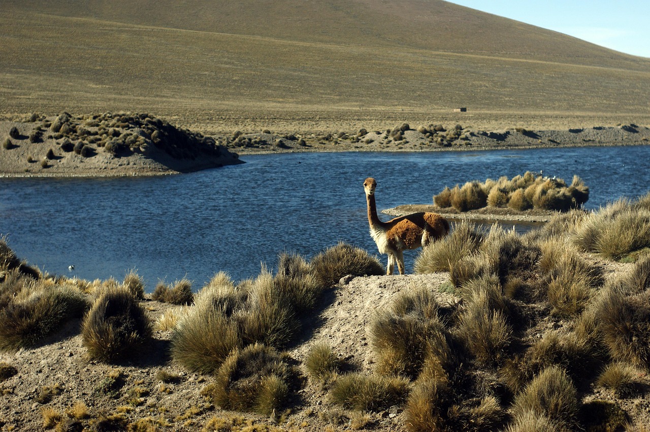LAGUNA DE SALINAS Y AGUADA BLANCA
