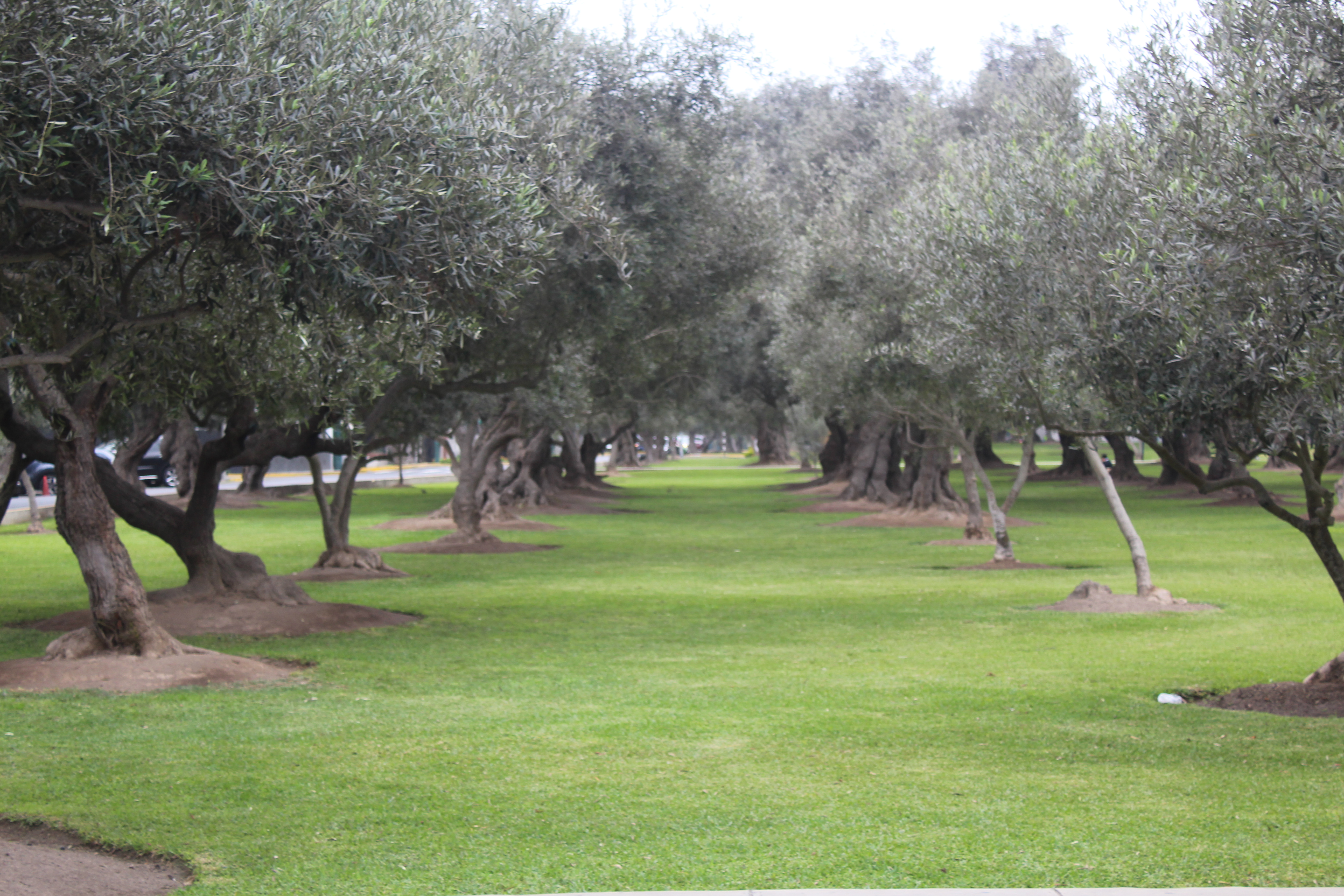 Paseo en bicicleta por Lima