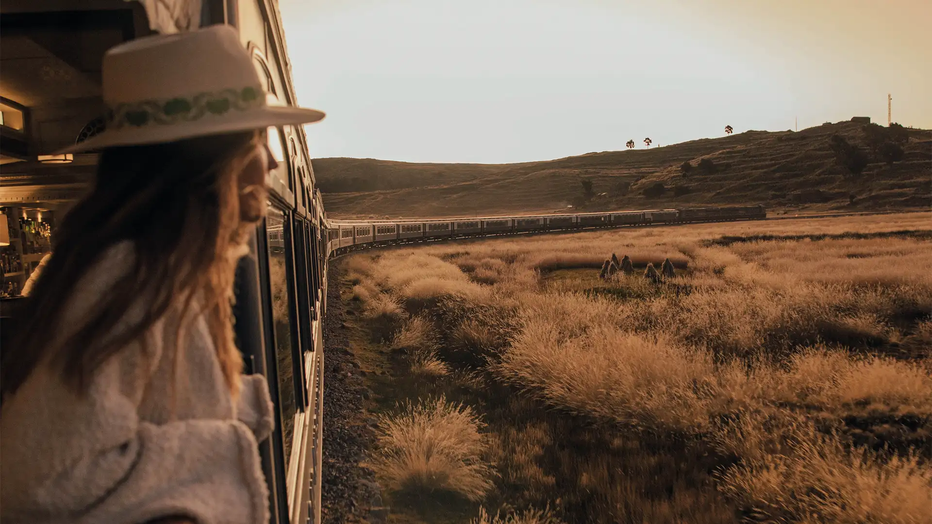 Tour en Andean Explorer