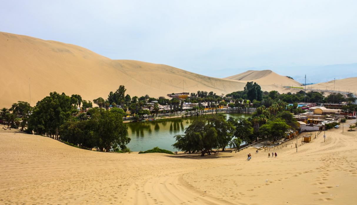 Descuento - Desde Lima: Ballestas, Viñedo & Huacachina