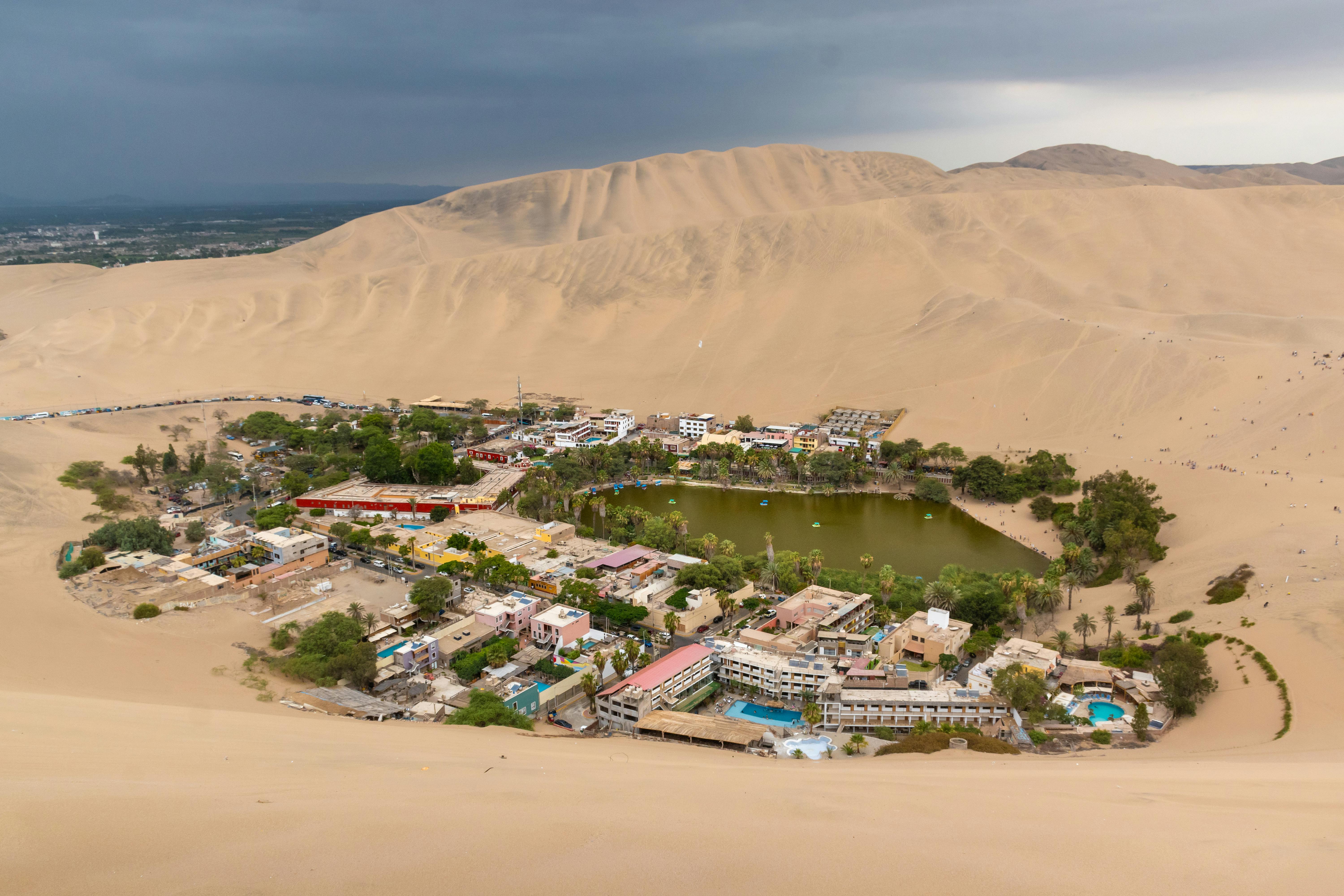 Full Day a Ballestas, Huacachina y Viñedos!