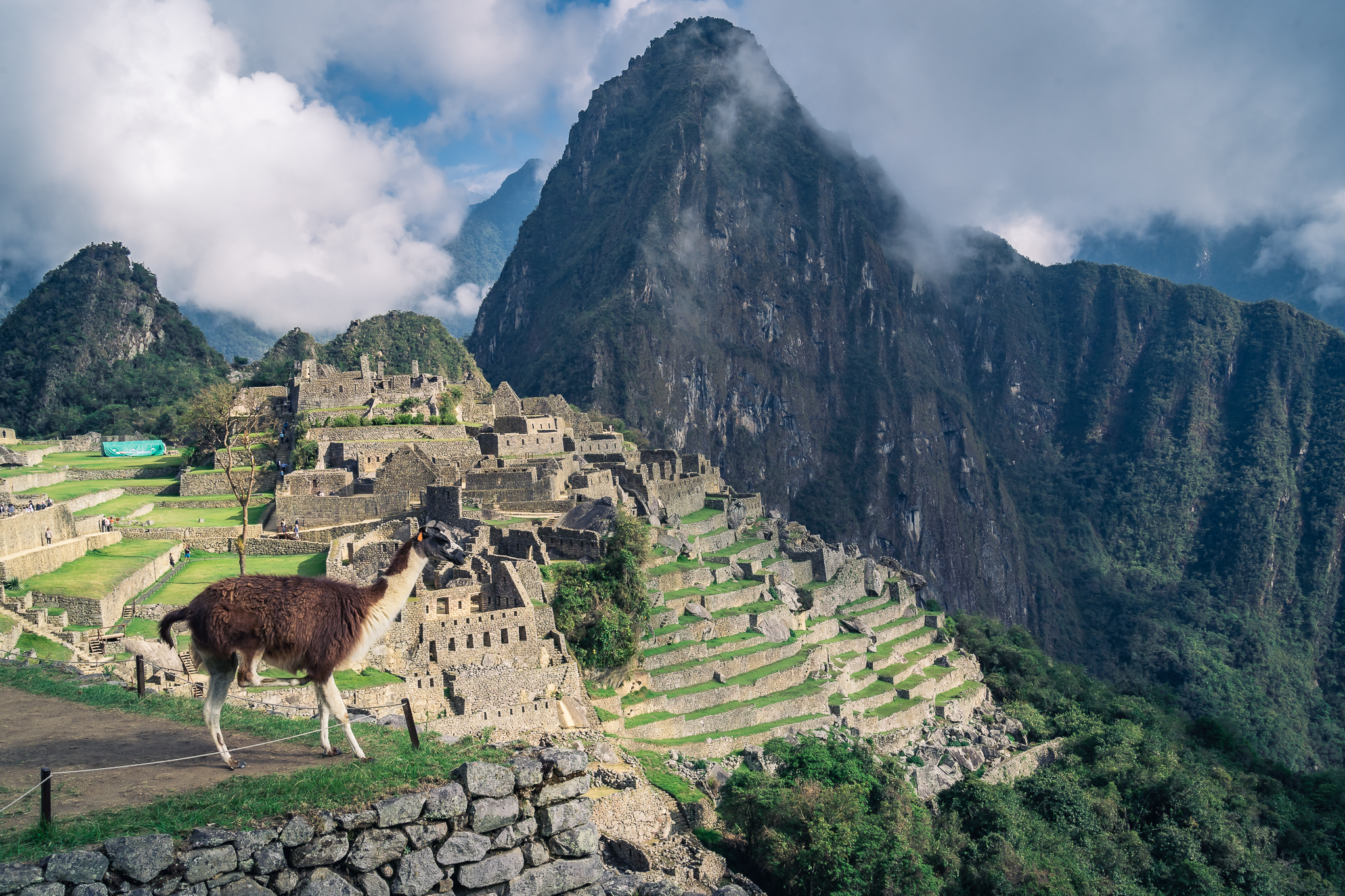 EXPERIENCIA CUSCO & MACHU PICCHU RELAX - CONSTANZA X3