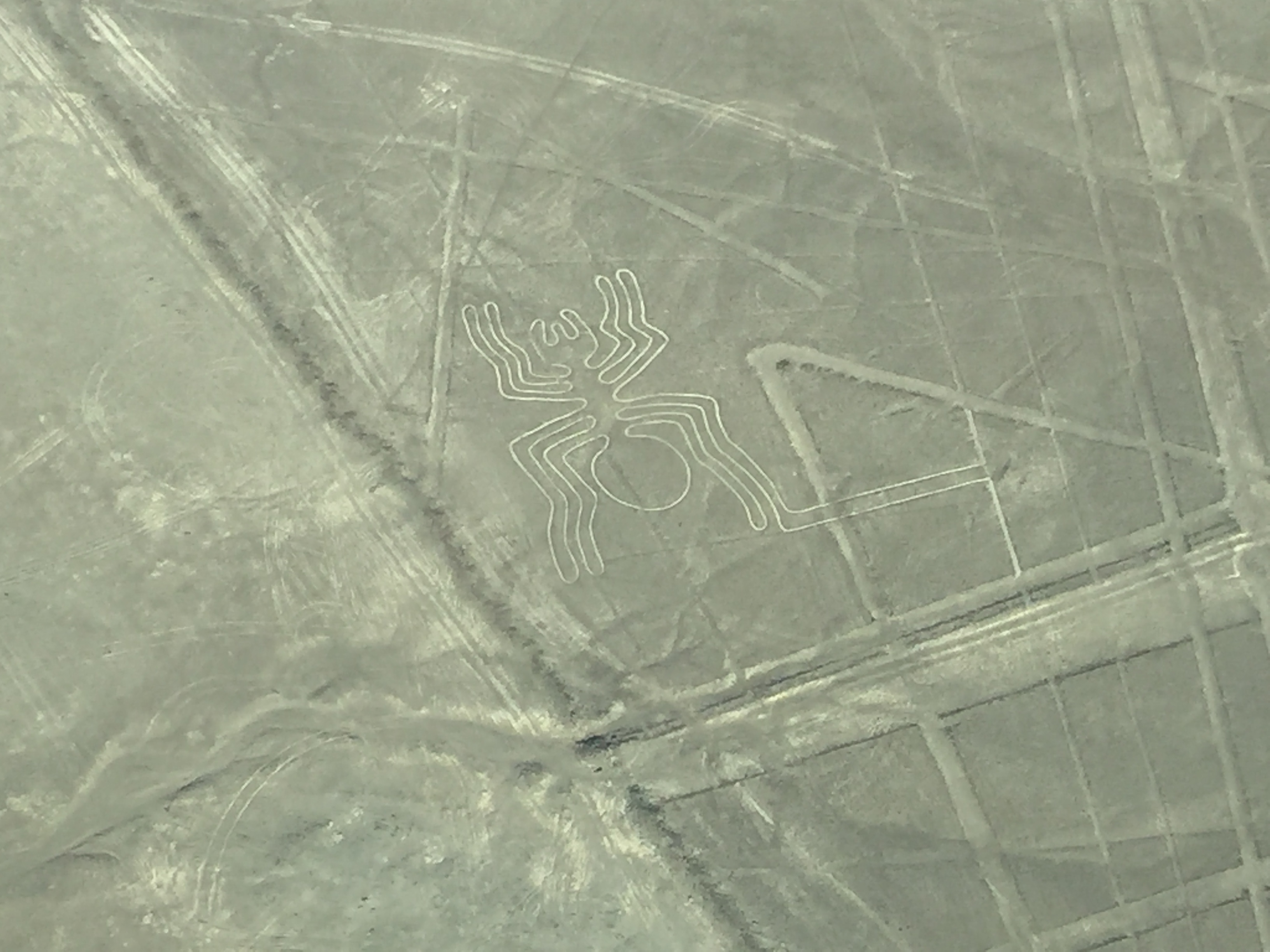 Islas Ballestas, Sobrevuelo Líneas de Nazca & Huacachina (LOLA)