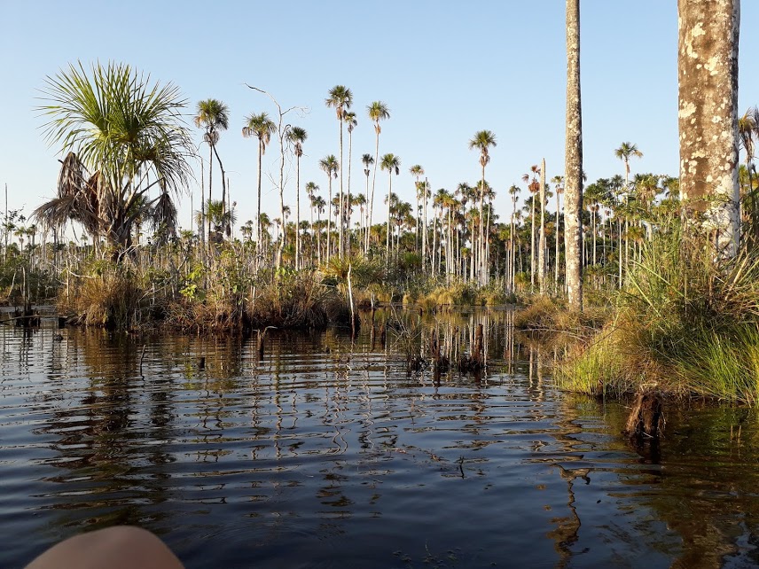 Pesca de Piraña y Avistamiento de Aves
