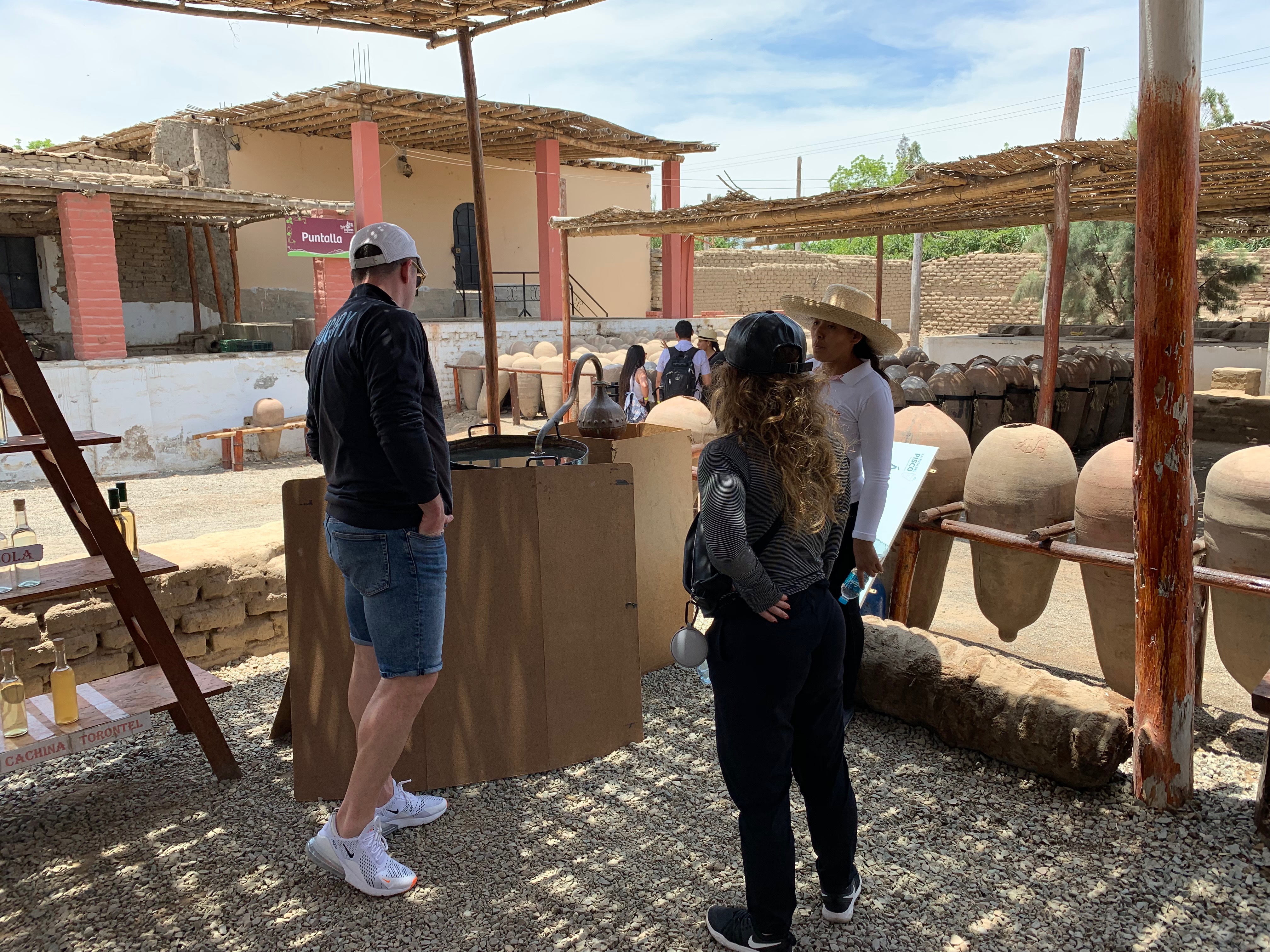 From Lima: Paracas and Huacachina Oasis