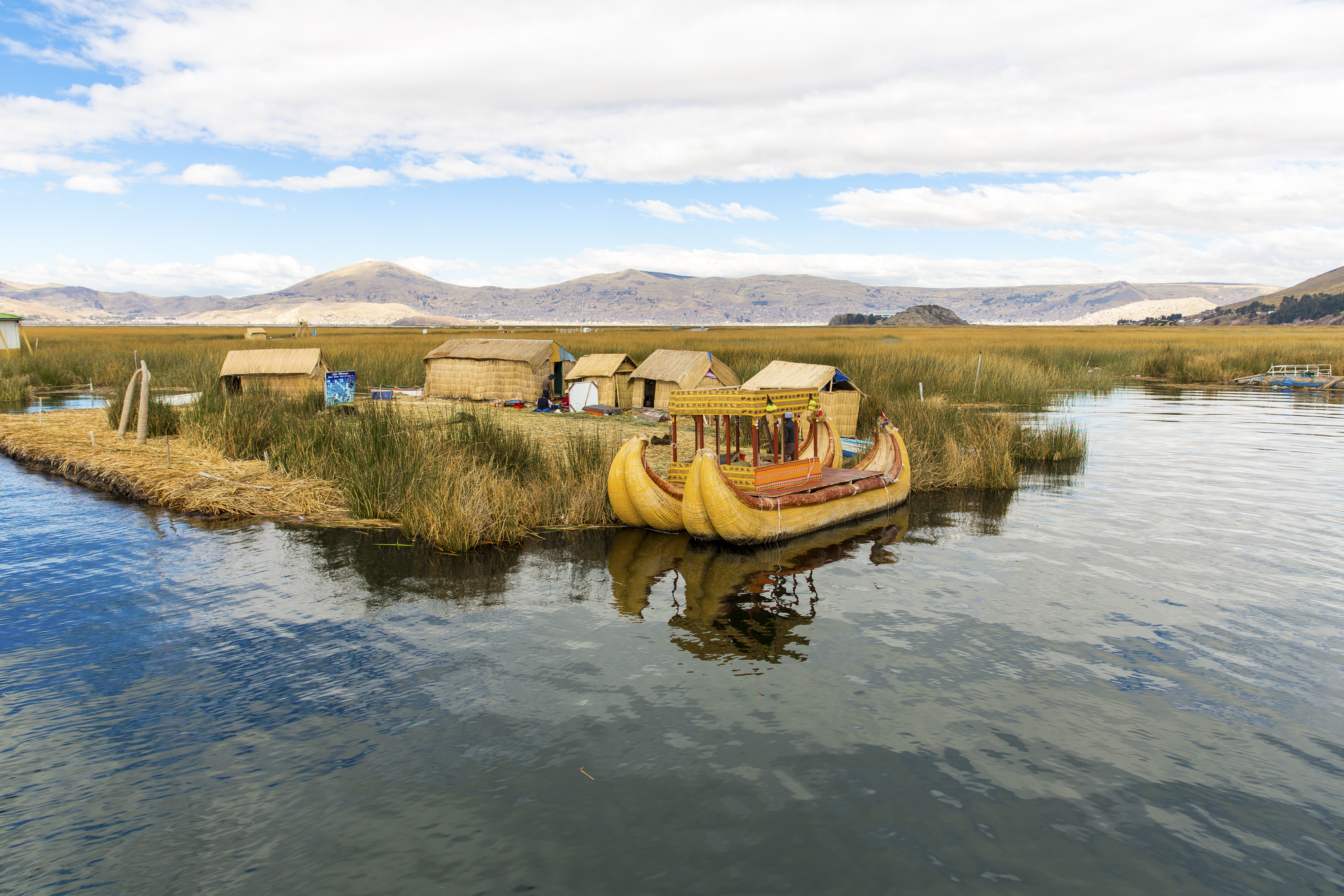 Andean Expedition: Discovering Treasures in Peru