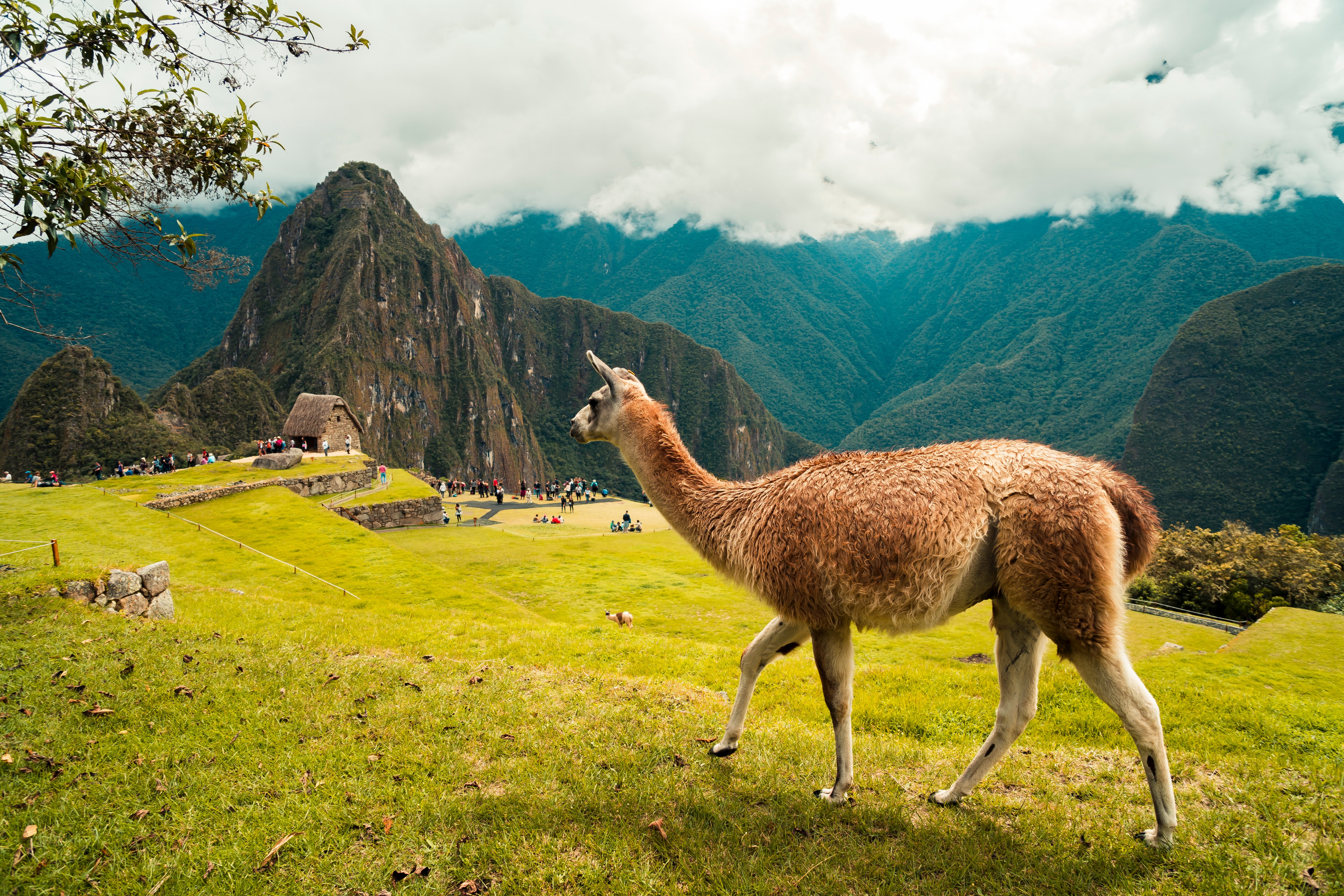 Cusco Highlights