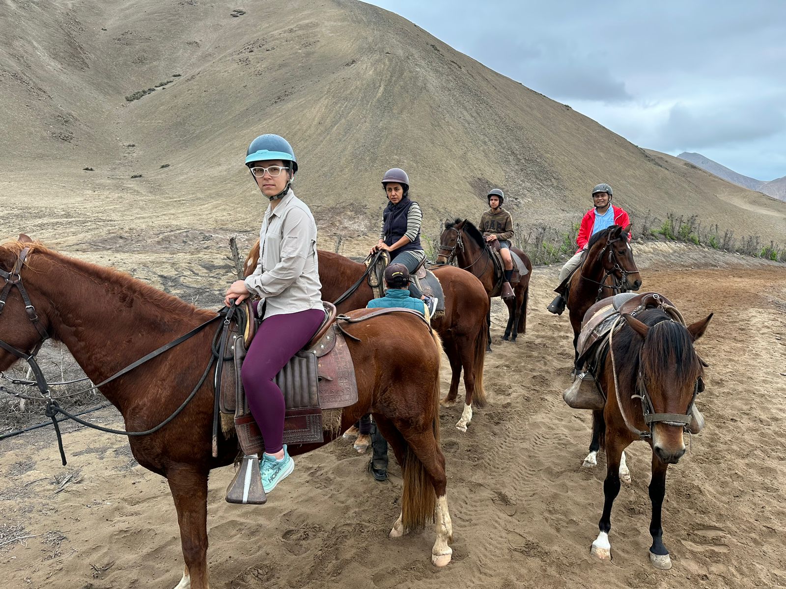 Lions de Mer & Chevaux Paso Péruviens